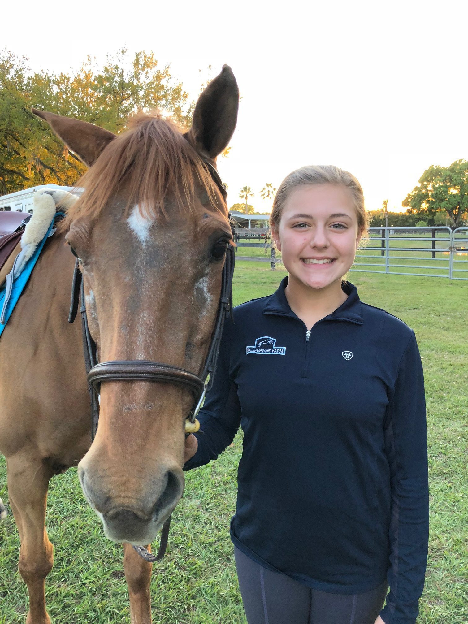 Camp life with Winnie the horse