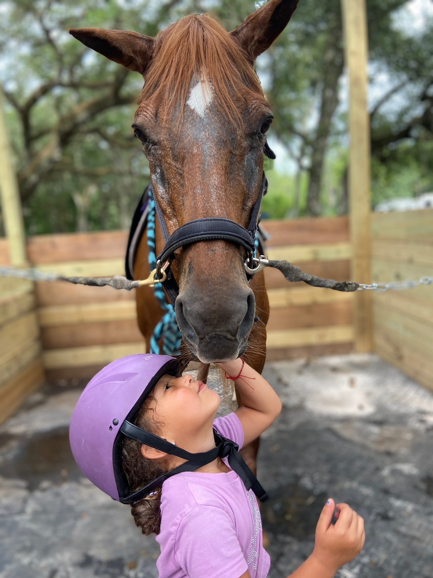 Camp life with Winnie the horse