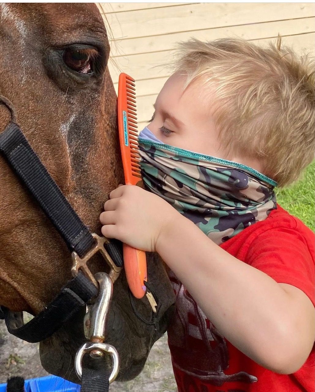 Camp life with Winnie the horse