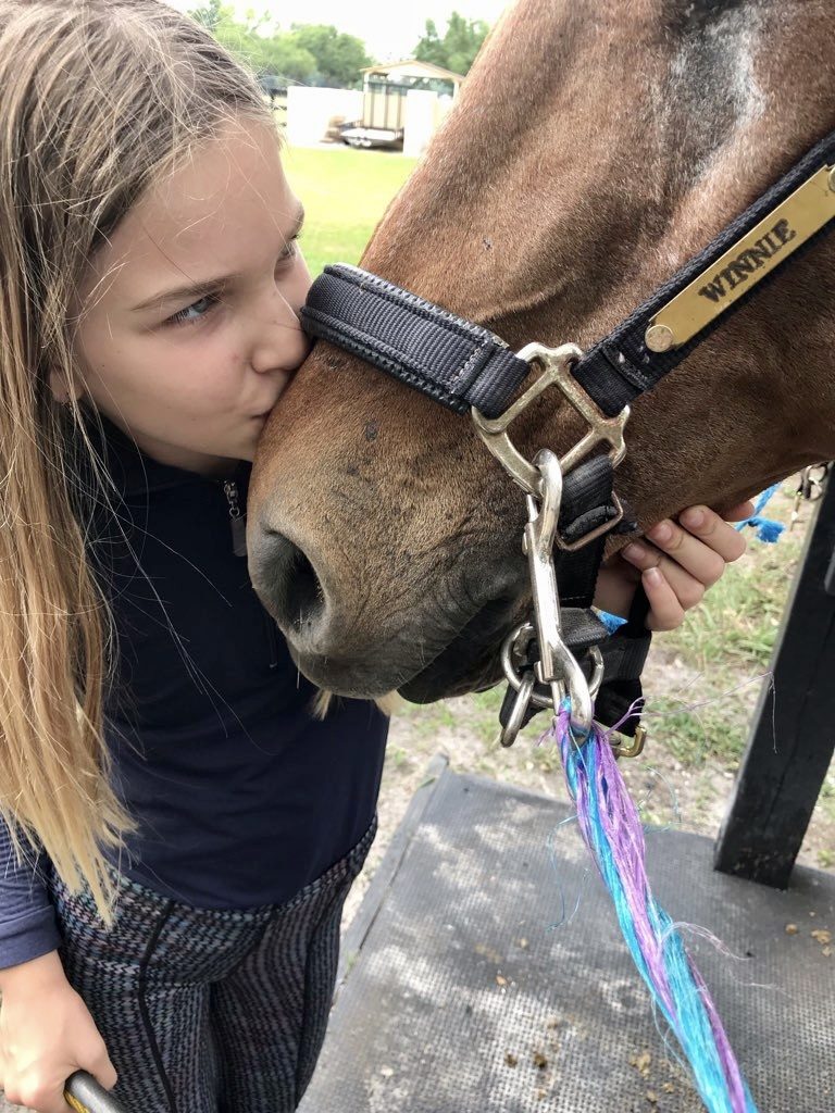 Camp life with Winnie the horse