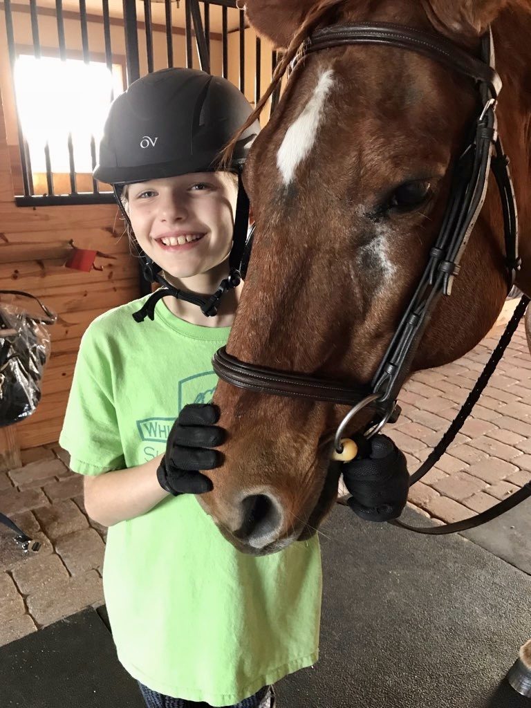Camp life with Winnie the horse